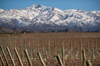 Logo La Coste de Los Andes