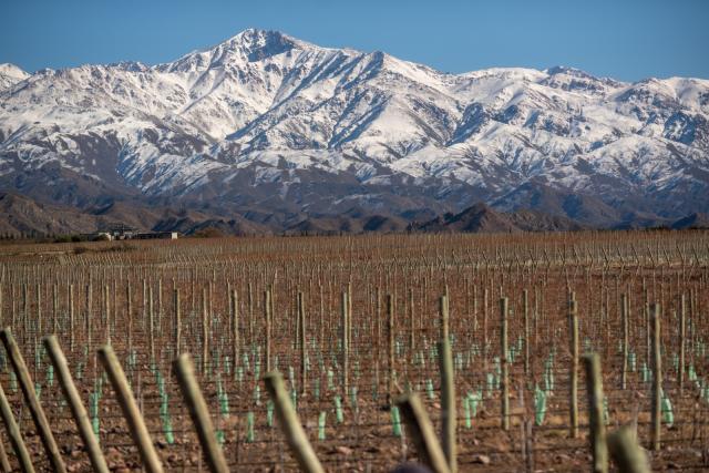 La Coste de Los Andes