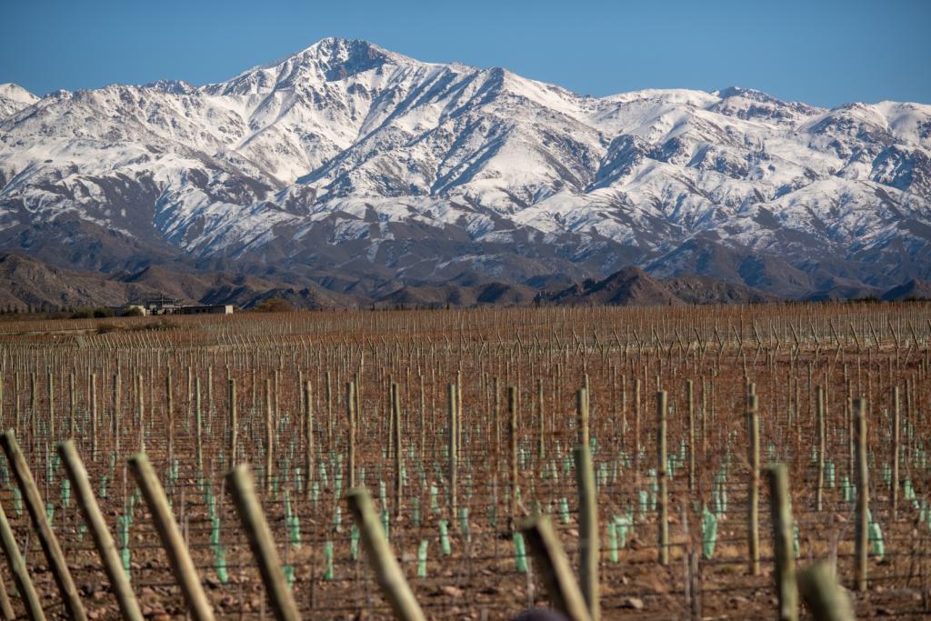 Logo La Coste de Los Andes