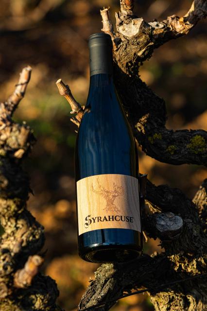 Syrahcuse
