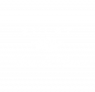 Logo Eclat de Branaire Ducru