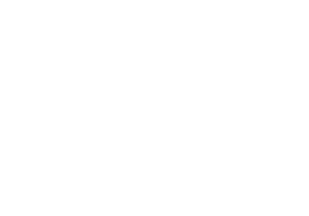 Logo Sarga Borhaz