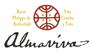 Logo Almaviva