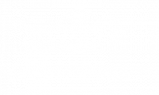 Logo Almaviva