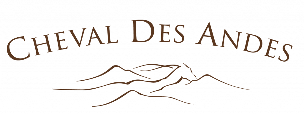 Logo Cheval des Andes