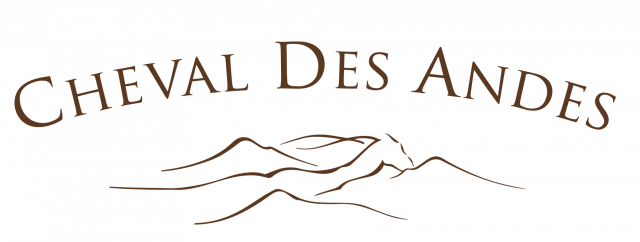 Cheval des Andes