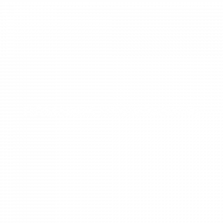 Logo Domaines Henri Martin