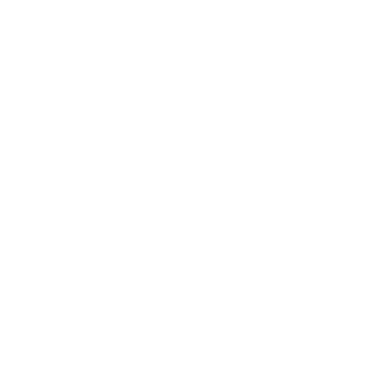 Logo François-Xavier BORIE