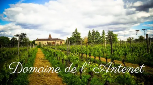 Logo Domaine de L'Antenet