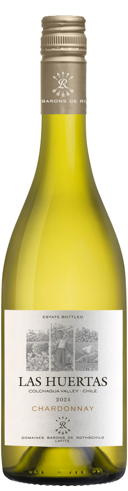 Chardonnay