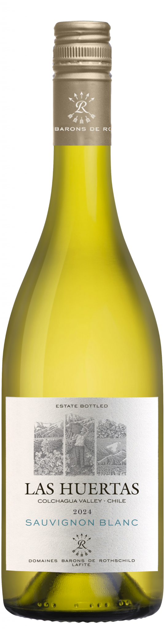 Sauvignon Blanc