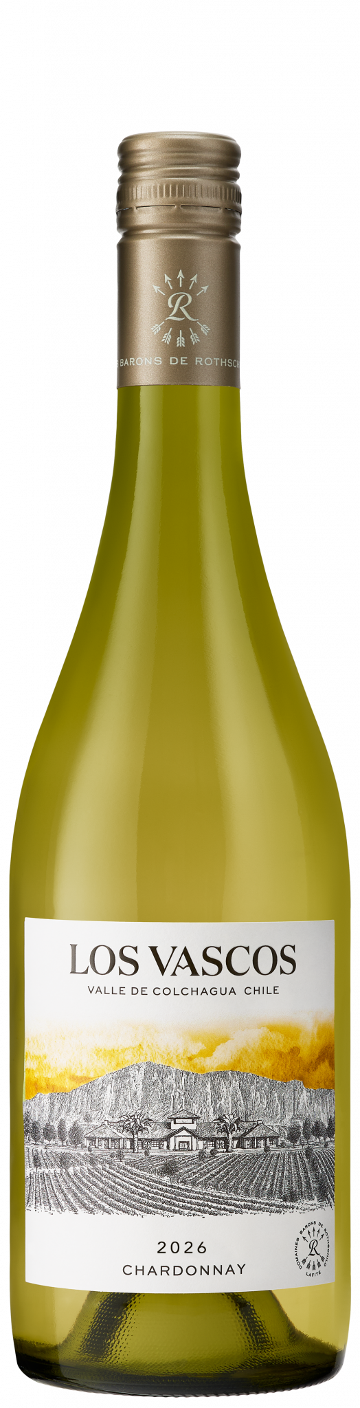 Chardonnay