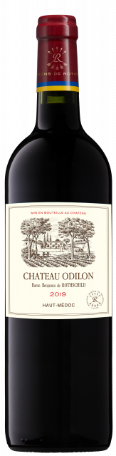 Odilon 2019 Vinco