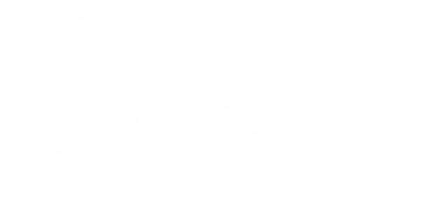 Logo Val de l'Ours