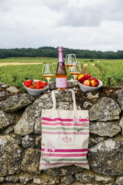 Shooting Tote Bag DCY 20