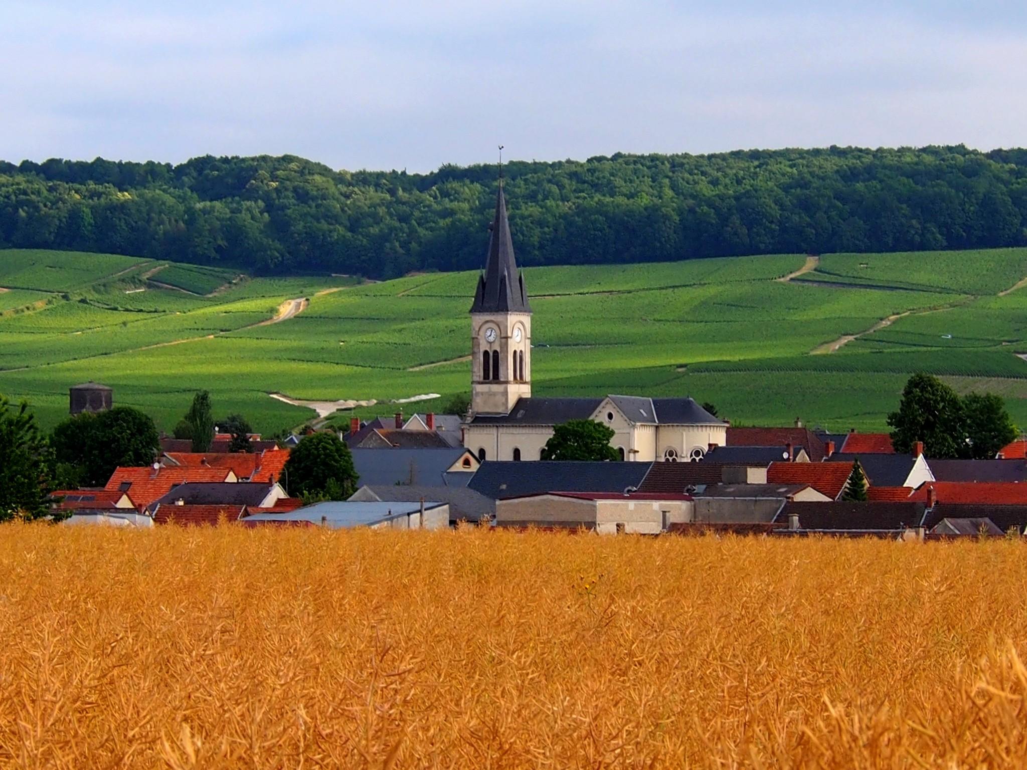 The transmission of know-how: