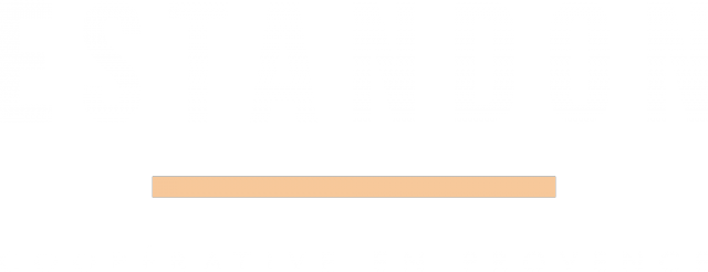 Logo ESTANDON