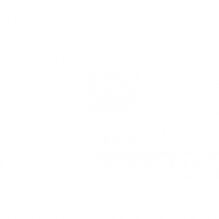 Logo Domaine du Clos des Tourelles