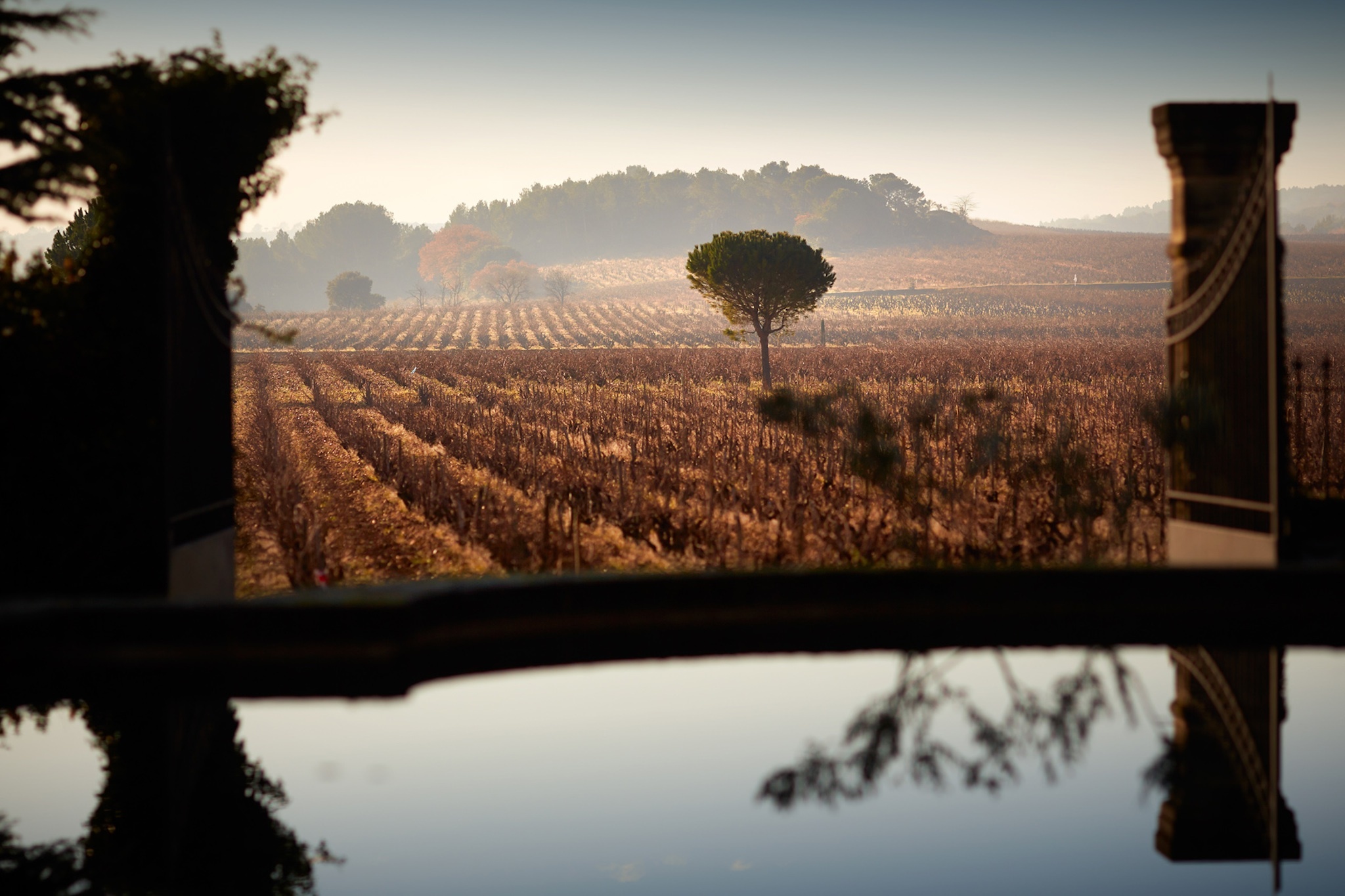 La brume sur le Domaine de Beaucastel