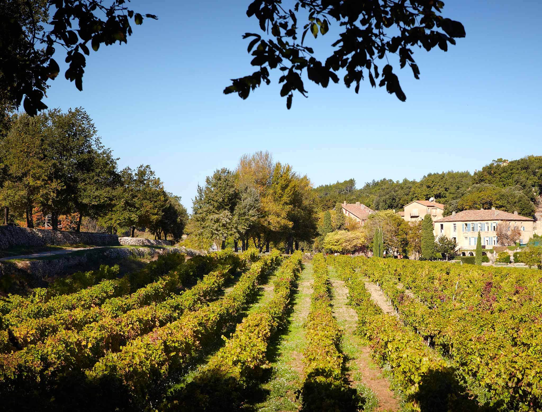 Miraval vue vignes et propriété