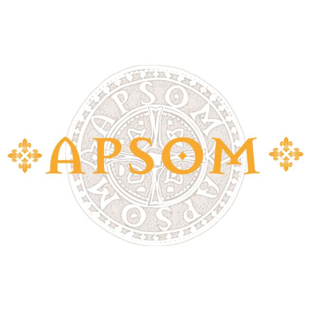 Logo Apsom