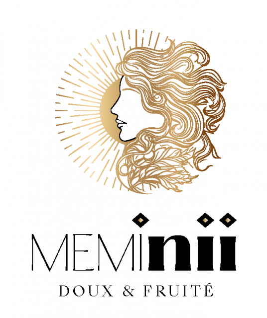 Logo Meminii