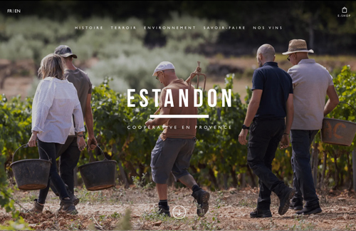 Site WordPress Estandon propulsé par vin.co